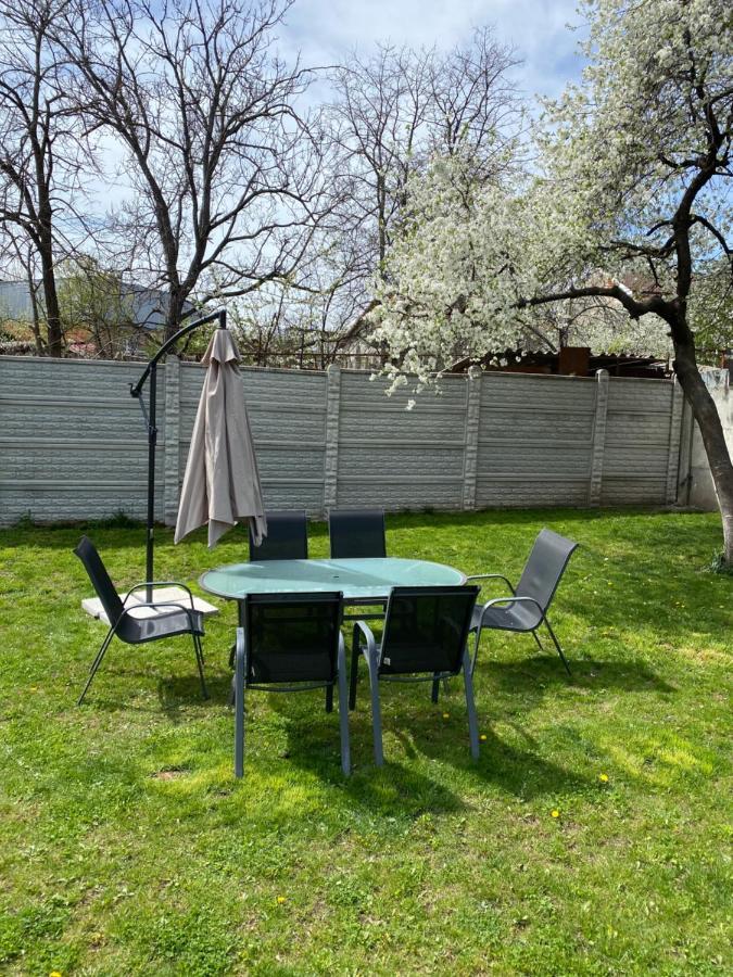 Apartmán Amazing 1 Bed Flat Craiova Exteriér fotografie